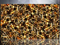 Кварц Quartz Chocolate